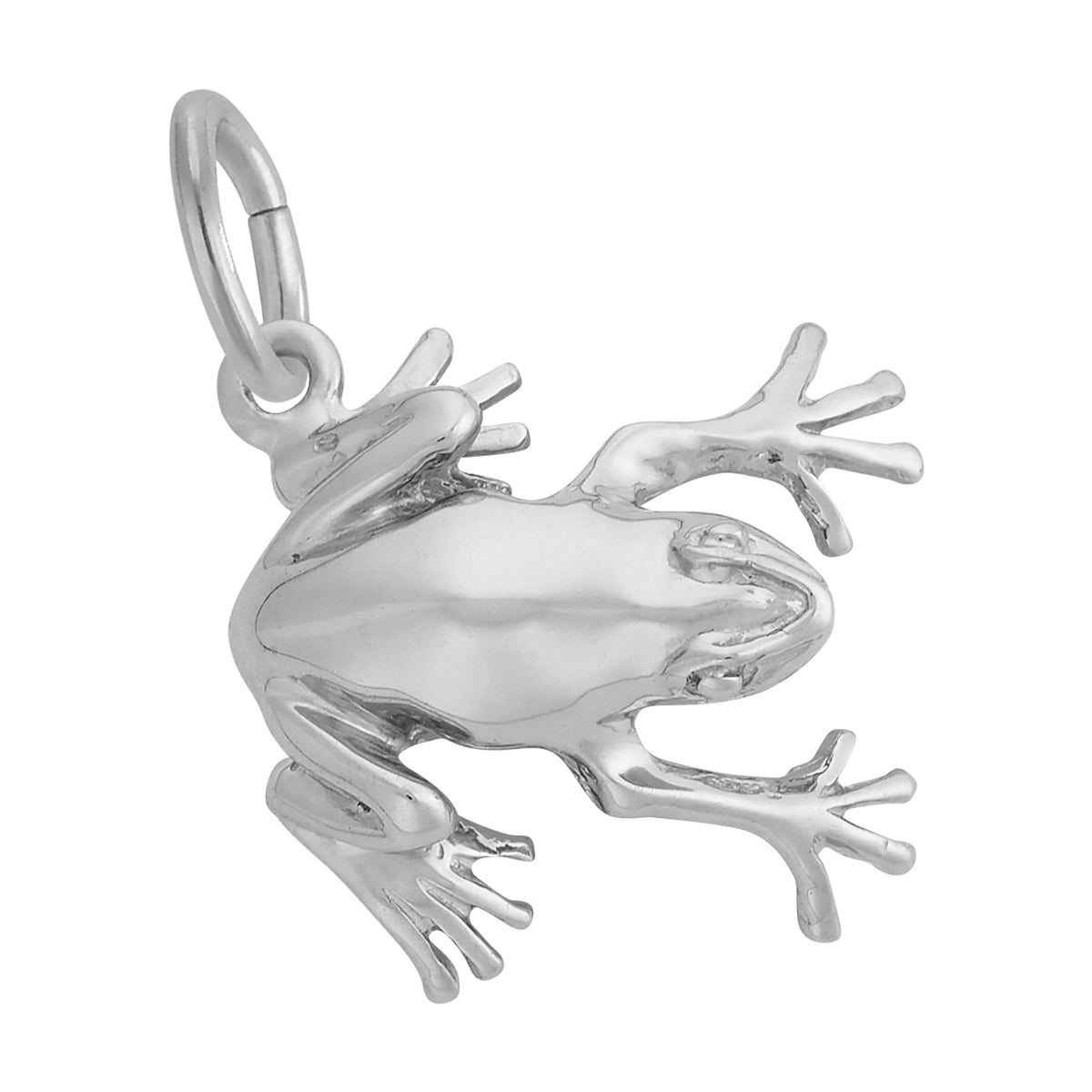 1529 925 Frog