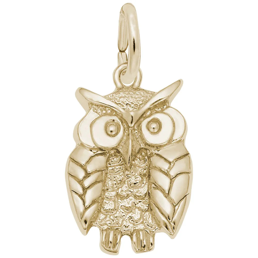 1673 Wise Owl Charm