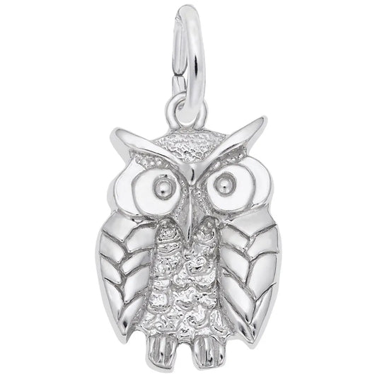1673 Wise Owl Charm