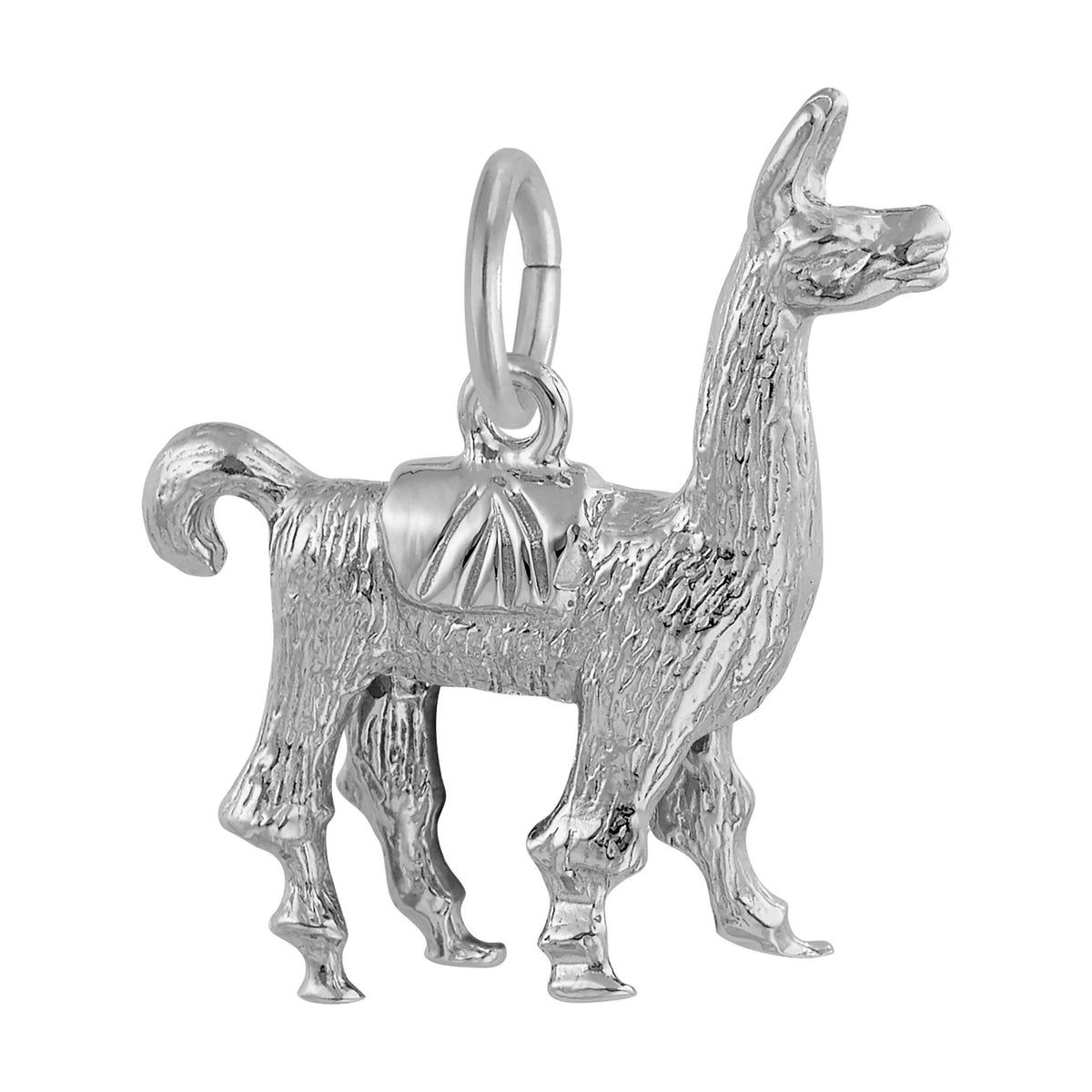3094 925 Llama