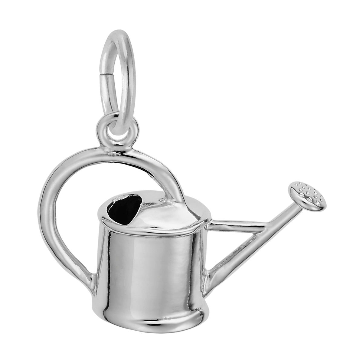 3451 925 Watering Can