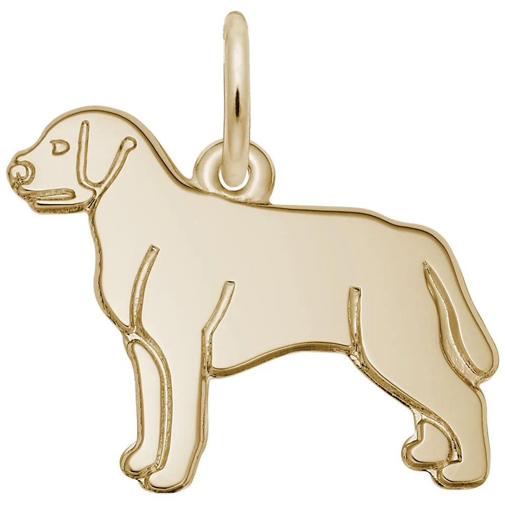 3790 Engravable Dog