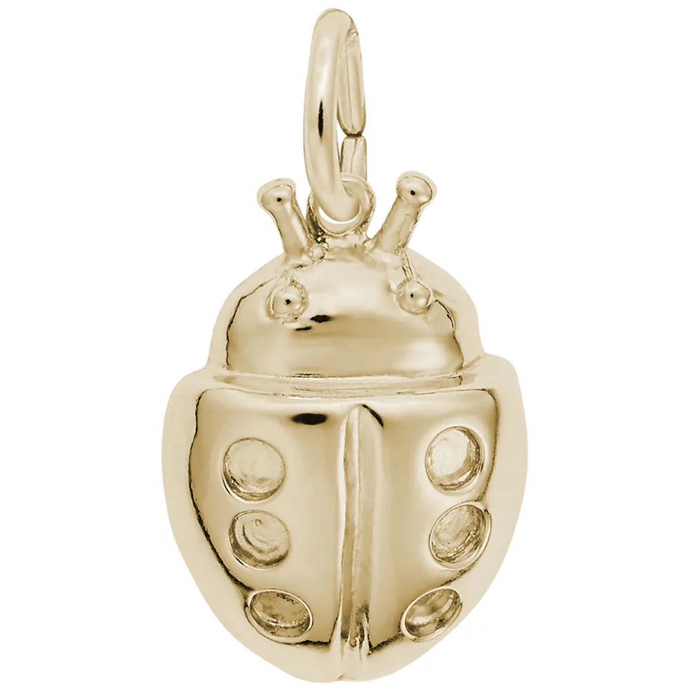 7829 Ladybug Charm