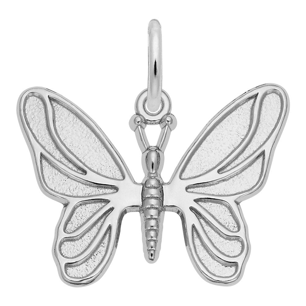2429 925 Butterfly