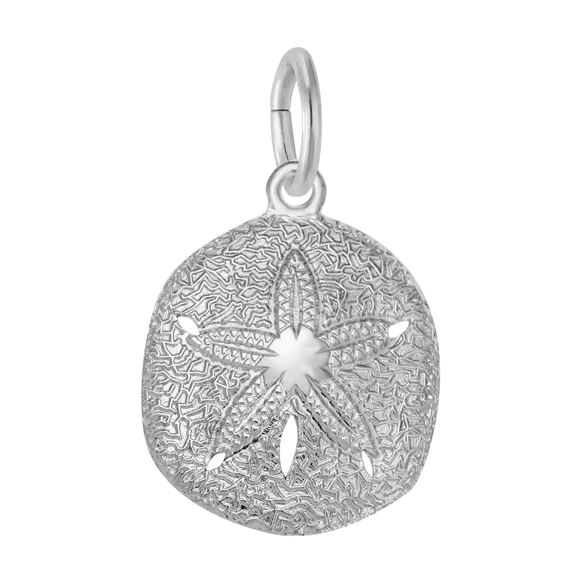 6036 925 Sand Dollar