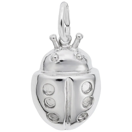 7829 Ladybug Charm