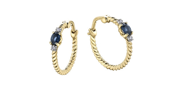 DX753Y 10K Gem Hoops